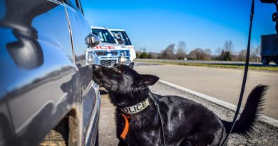 Training Detection Dogs for Interdiction Training Detection Dogs for Interdiction