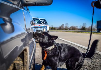 Training Detection Dogs for Interdiction