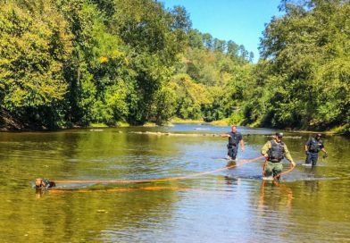 Trailing Dogs Tackle Tough Terrain