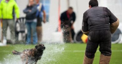 Can Dog Sports Improve Patrol Dogs? Can Dog Sports Improve Patrol Dogs?