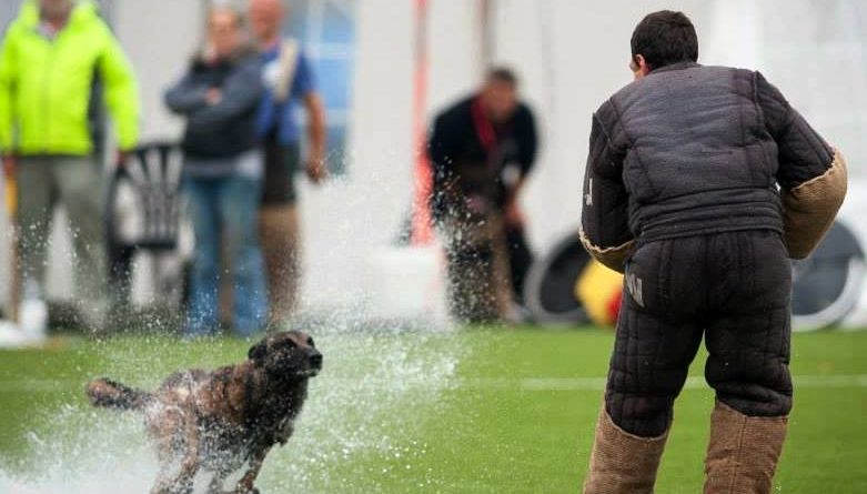 Can Dog Sports Improve Patrol Dogs?
